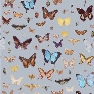 Meet your Posher, Bivned